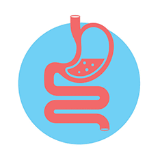 Aids digestion